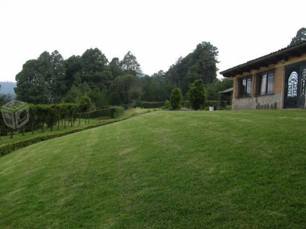 Hermoso Terreno en terrazas con árboles frutales