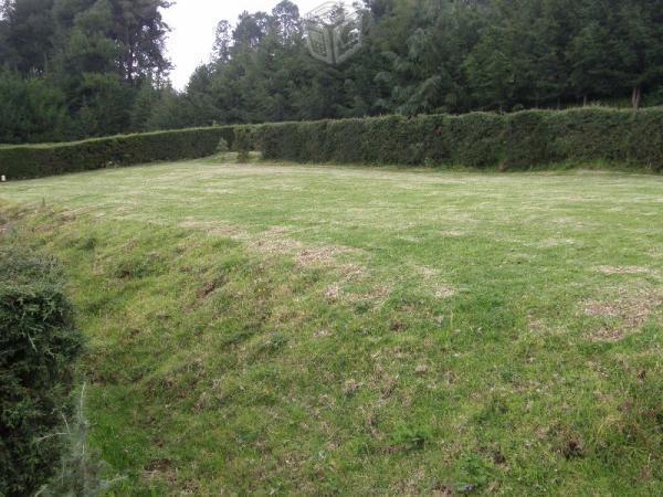 Hermoso Terreno en terrazas con árboles frutales