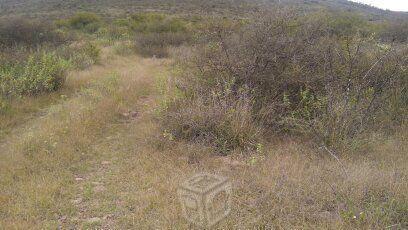 Buen terreno semiplano