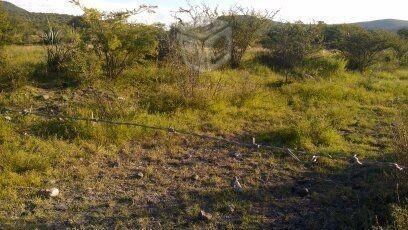 Buen terreno semiplano