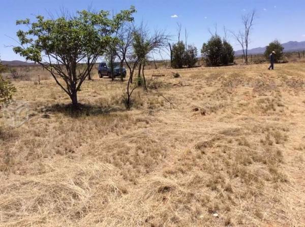 En Complejo Turístico Los Girasoles