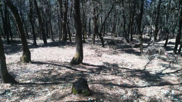 Hermoso terreno residencial en venta