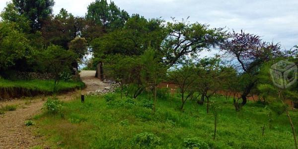 Terrenos en venta en Tapalpa