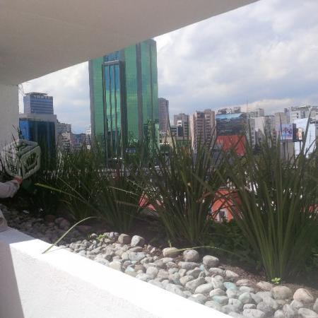 Penthouse polanco vistas