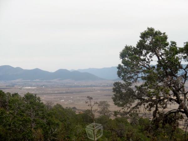 Terreno rustico con pinos