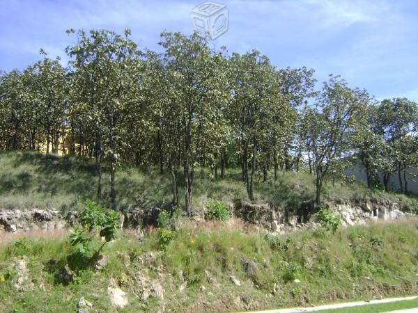 Terreno Panorámico en venta Bugambilias 542 m2