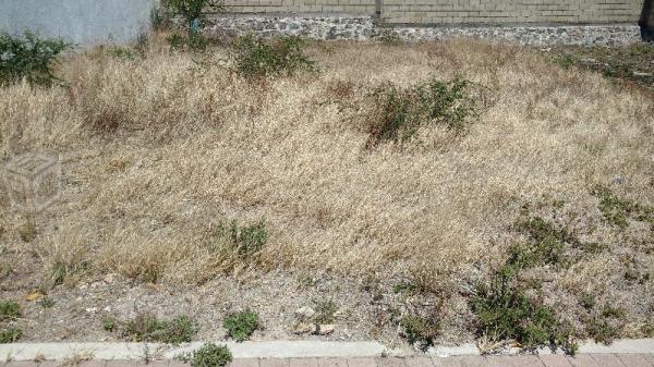 Terreno habit. en fracc. san isidro juriquilla