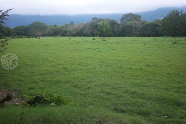 terreno para ganaderia en la huasteca hgo