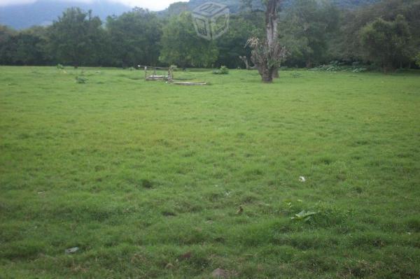 terreno para ganaderia en la huasteca hgo