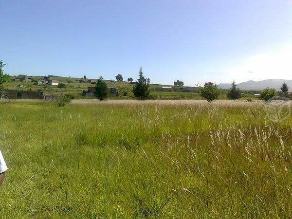 Hectárea de terreno ubicada en Salida Mil Cumbres