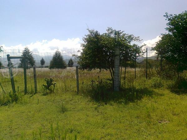 Hectárea de terreno ubicada en Salida Mil Cumbres