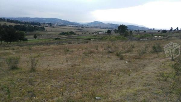 Terreno De 6075 M2 Ubicado En Arroyo Zarco