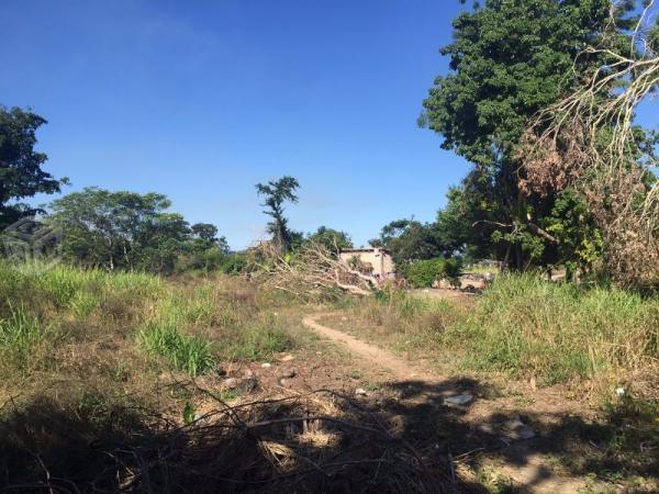 Barra de Navidad, INVERSIONISTAS, EMPRESARIOS