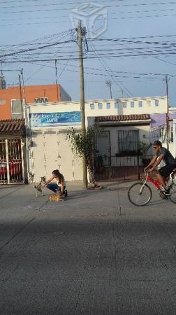 Casa con local sobre avenida