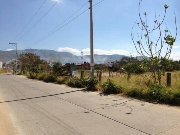 Lote atras de Plaza del Valle