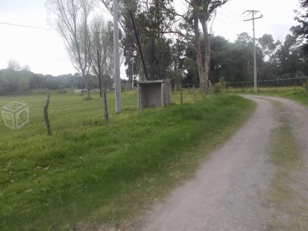 Lotes terreno de 500m2 san mateo xoloc