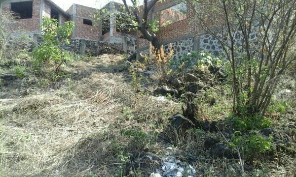 Terreno 345.10 oaxtepec