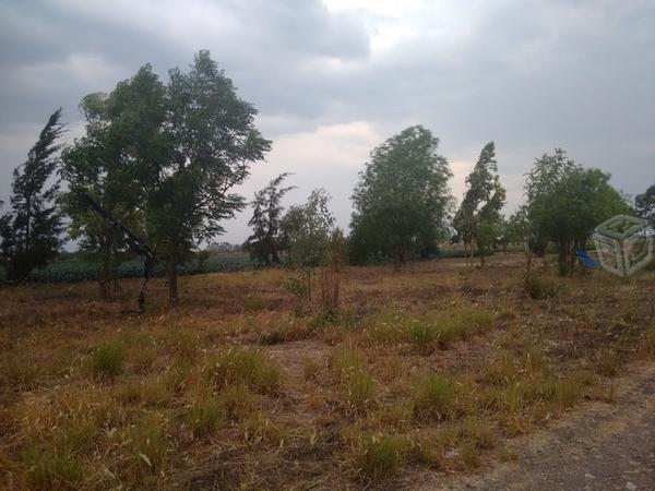1.5 hectareas terreno ejidal san judas tadeo leon