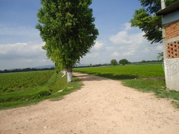 Rancho en Romita Gto