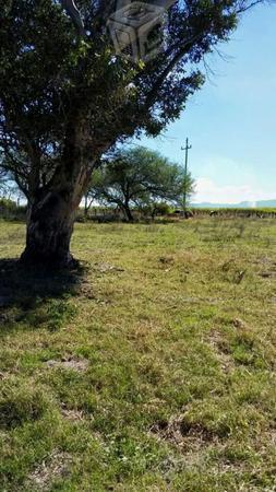 Terrenos en La estanzuela, Teuchitlan