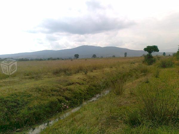 Terreno 4 hectáreas parejitas en Santiago Undameo