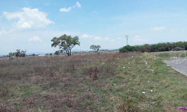 Maravillosa propiedad para Invertir en Sn Mateo A