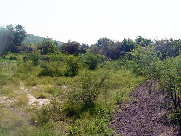 Terreno en alpuyeca