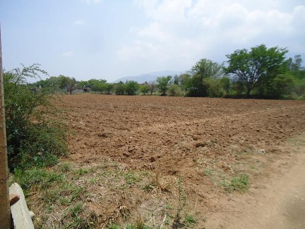 Terreno de 8000m² Yatareni cerca del Monumento