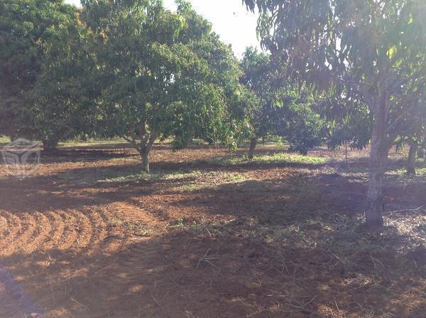 Terreno en la playa