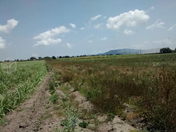 Se vende terreno carretera -pantanal