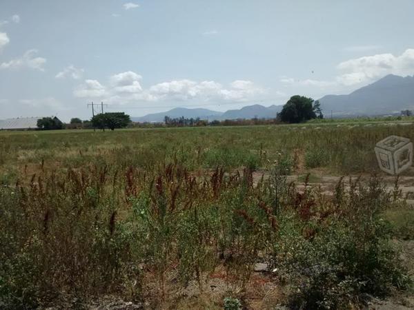 Se vende terreno carretera -pantanal