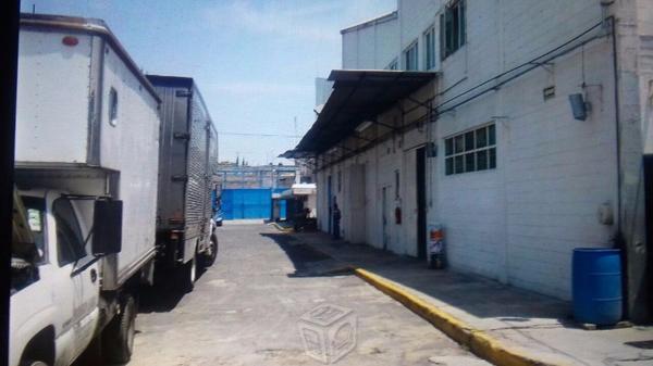 Bodega en renta zona  5000m2