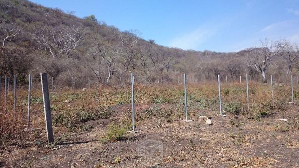 Terreno en Privada de las Estacas, Morelos