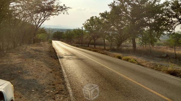 Terreno sobre carretera