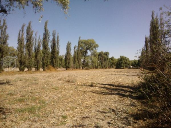 Terreno en Venta en Teotihuacan