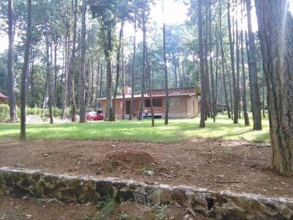 Casa nueva internada en el bosque