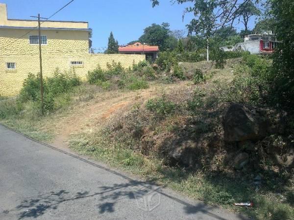 Terreno cerca de Buenavista