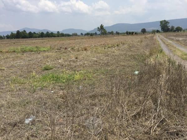 Se vende terreno en amazcala (el marques)