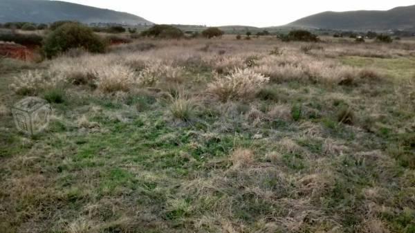 Terreno para cabaña en capula