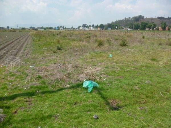 Terreno con servicios en san miguel