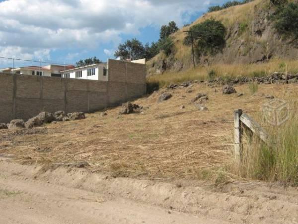 Terreno en las tortugas