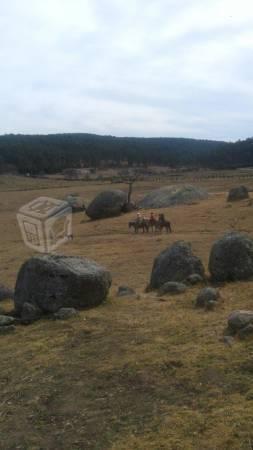 Terreno campestre en San Esteban