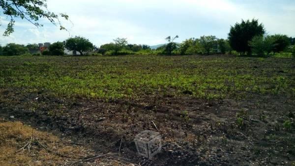 Terreno con abundante agua