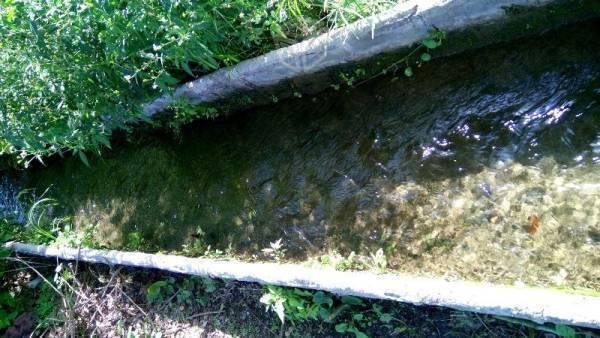 Terreno con abundante agua