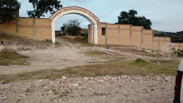 Terrenos en Santo Tomás chiautla facilidades