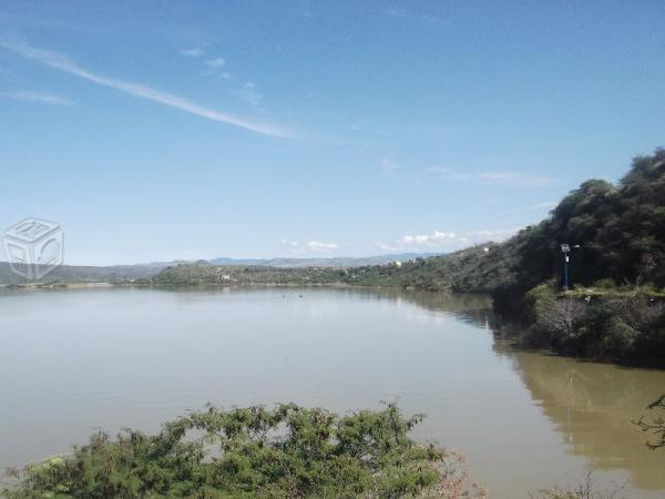 Junto presa el chique panoramicos